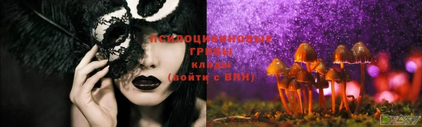 мяу мяу мука Белокуриха