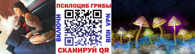 Галлюциногенные грибы GOLDEN TEACHER где продают наркотики Пионерский